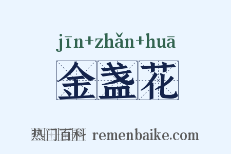 金盏花是什么意思的图片
